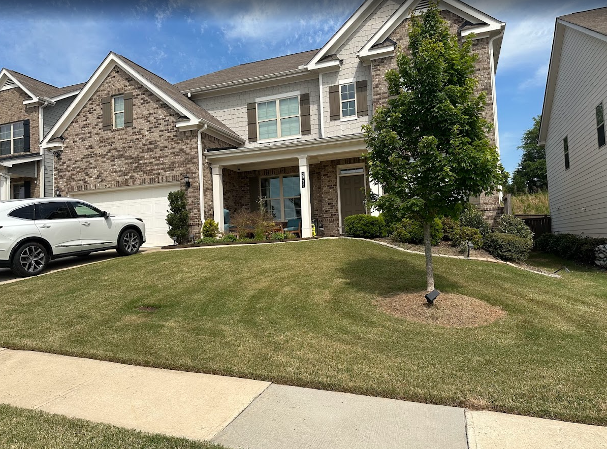 Green lawn mowed around tree and house